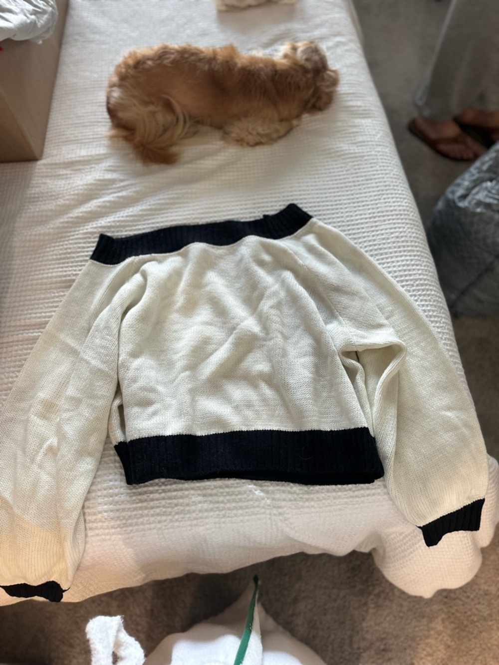 WeWoreWhat Off Shoulder Cream Sweater with Black Rib Trim